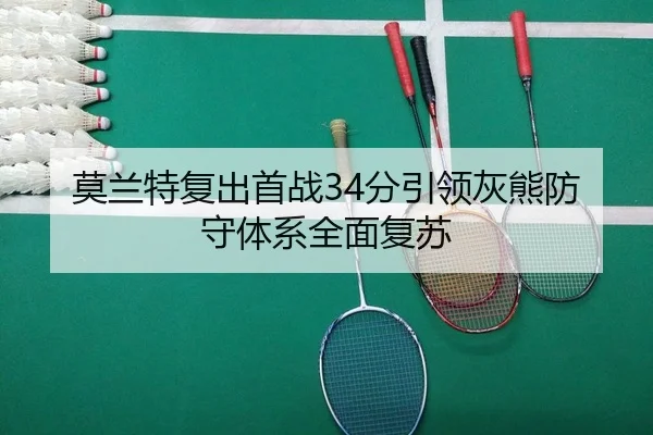 mo-lan-te-fu-chu-shou-zhan-fen-yin-ling-hui-xiong-fang-shou-ti-xi-quan-mian-fu-su-2-119.jpg